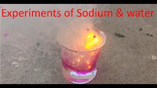 Reaction of Sodium and Water [upl. by Triplett]