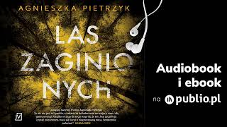 Las zaginionych Agnieszka Pietrzyk Audiobook PL [upl. by Rehptsirhc]