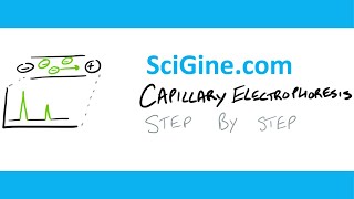 Capillary Electrophoresis  Protocol and Tutorial  Learn in 15 mins [upl. by Leuas]