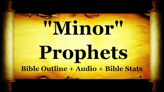 The Holy Bible  Minor Prophets  Hosea Joel Amos Jonah Micah Zechariah Malachi [upl. by Rafaelia]