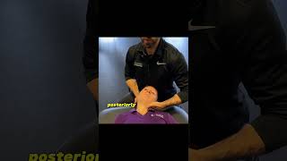 Posterior Inferior Medial Glide Cervical Radiculopathy Manual Therapy [upl. by Bron]