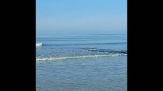 Ostend beach 31102024 oostende strand [upl. by Dlareme]