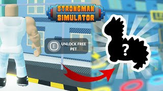 2022 All 10 Codes for Strongman Simulator ROBLOX Strongman Simulator Codes [upl. by Stillmann166]