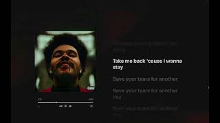 The Weeknd  Save Your Tears Lyrics [upl. by Ecirum]