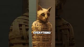 Ancient Egypt Mummified EVERYTHING Even Pets history [upl. by Leavy395]