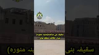 Bani shayda in madina shareef ytshorts shortfeed youtubeshorts [upl. by Ardnikat]