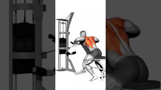 Cable decline Seated Wide Grip Row  Back workout [upl. by Areis574]