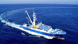 Amazing Catching Thousands Tons of Tuna Fish With Modern Big Boat  Fastest Squid Fishing Trawl [upl. by Amero]