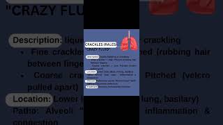 Crackles Rales quotCrazy Fluidquot Abnormal lung sounds [upl. by Urba417]