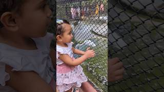 Baby in zoo imitating birdbaby babygirl birds [upl. by Orji720]