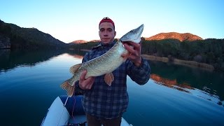 Pesca de lucios en Diciembre  HD [upl. by Ettenay]