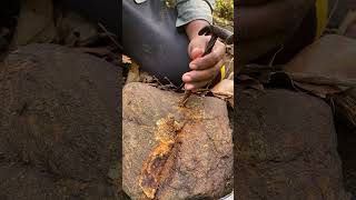 Kentucky Geodes and Agates On a Rock Saw crack rock Fossils stone old worth open Rocks [upl. by Chrysa]