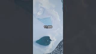 MindBlowing Facts About Iceberg Calving [upl. by Halihs]