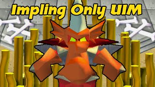 1000000000 GP In Dragon Implings  Impling Only UIM 44 [upl. by Gerrald489]