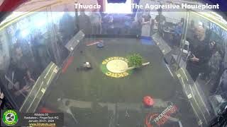 Thwack vs The Aggresive Houseplant Antweight Rookies  Kilobots 53 [upl. by Oiramal]