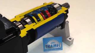 wwwcmcltdcoil  Tramec Srl גיר פלנטרי [upl. by Iteerp161]