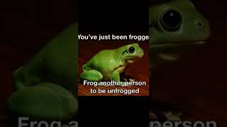 You have just been frogged [upl. by Tehc]