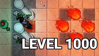 Desert Quest at Level 1000  Tibia on Twitch week13 [upl. by Eichman]