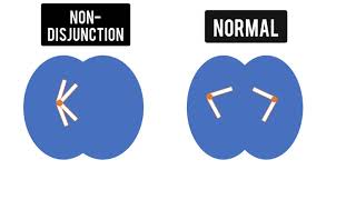 632 Chromosomal Number Aneuploidy amp Polyploidy [upl. by Amein]