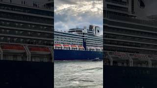 Nieuw Amsterdam 🛳️⚓️ like share comment subscribe cruiseship cruise vacation shorts short [upl. by Bohon]