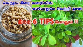 வெந்தய கீரை வளர்ப்பு SEMA TIPSFenugreek கீரைவெந்தயக்கீரைMethi Keeraimaadi veetu thottam tamil [upl. by Akinyt]