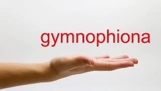 How to Pronounce gymnophiona  American English [upl. by Shipley]