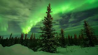 Arctic Auroras  8K Ultra HD Northern Lights Timelapse Compilation from Fort Yukon Alaska [upl. by Nerok]