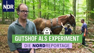 Landwirtschaft kreativ betreiben  Die Nordreportage  NDR [upl. by Colwen418]