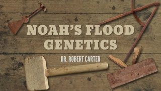 Origins Noah’s Flood Genetics [upl. by Anina]