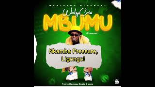 WalyCris  Mbumu Pressure Lyric Video Nowout [upl. by Heins117]