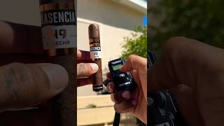 ASMR Toasting a Plasencia Cosecha 149 on a beautiful day ☀️ cigar asmr shorts cigars asmrsounds [upl. by Kirat112]