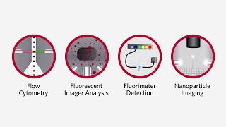 Luminex Detection Methods  Molecular Diagnostics amp Life Sciences [upl. by Hermina691]