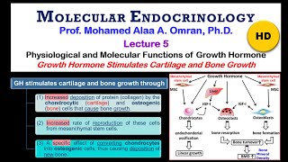 Molecular Endocrinology lecture 5  2021 [upl. by Kosak]