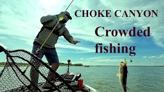 Choke Canyon Bass Tournament March 23 2024 [upl. by Horvitz]