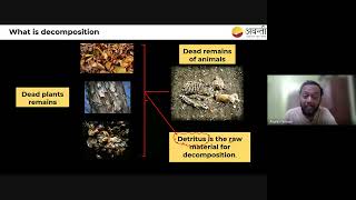 Ecosystem  Decomposition  12th NEET Biology  9th Oct 2024 [upl. by Hterag]