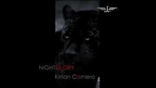 Kirlian Camera  Nightglory Camera Version [upl. by Meesaw]