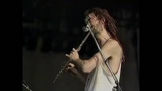 Ozric Tentacles  White Rhino Tea 3 mins 55 secs  Live in Reading 1993 HQ [upl. by Tremann]