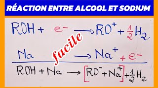 ALCOOL RÉACTION [upl. by Nihsfa]