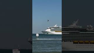 Mariner of the Seas Returning to Galveston after Hurricane Milton [upl. by Avek]