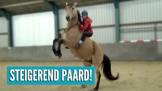 Voor het eerst STEIGEREN met een paard  Vlog 32 [upl. by Sacksen476]