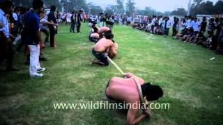 Tug of strength  at 50th Naga Fest13 [upl. by Lorena]