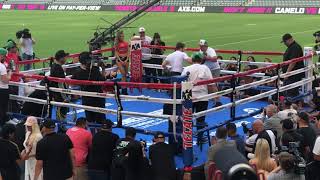 SICK POWER Canelo Explosive On Mitts Ready To Fight GGG Today [upl. by Sascha]