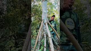 Ecoturismo en la Amazonía transformación y tradición en el jardín botánico de Leticia [upl. by Ginnifer712]