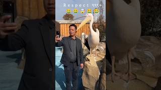 Mk respect ९९९short videos 😔respectamazing999 [upl. by Glavin]