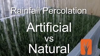 Artificial Grass vs Natural Grass  Percolation Rates [upl. by Yragerg]