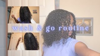 natural hair wash n go routine  how to achieve DEFINED shiny curls  one product foaming mousse [upl. by Wayne713]