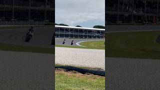 Marc Marquez  Australian Motorcycle GP  MotoGP 2024  Final lap and celebration  Phillip Island [upl. by Aihtnyc]