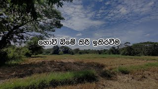 Kiri Ithiraweema කිරි ඉතිරවීම [upl. by Verdi]