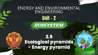 29 Ecological pyramidsEnergy pyramid  ES301 [upl. by Bernhard]