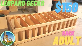 How to build a LEOPARD gecko RACK  150  ADULT  2021 [upl. by Enitsua]